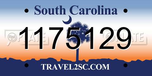 1175129 South Carolina License Plate
