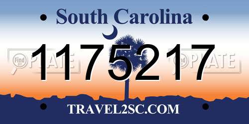 1175217 South Carolina License Plate