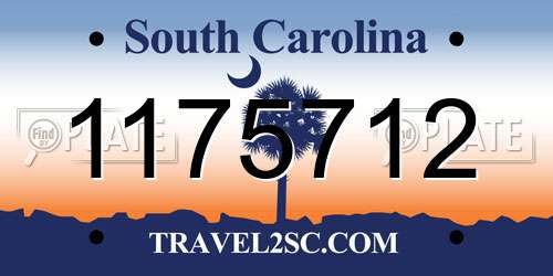 1175712 South Carolina License Plate