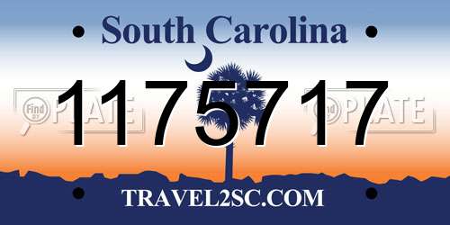 1175717 South Carolina License Plate