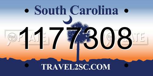 1177308 South Carolina License Plate