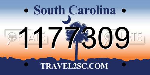 1177309 South Carolina License Plate