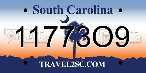 11773O9 South Carolina License Plate