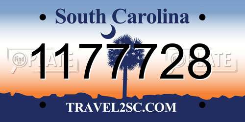 1177728 South Carolina License Plate