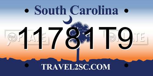 11781T9 South Carolina License Plate
