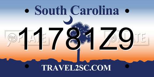 11781Z9 South Carolina License Plate