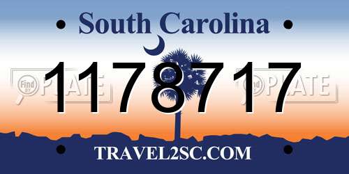 1178717 South Carolina License Plate