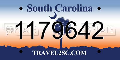 1179642 South Carolina License Plate