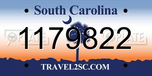 1179822 South Carolina License Plate