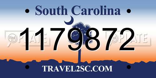 1179872 South Carolina License Plate