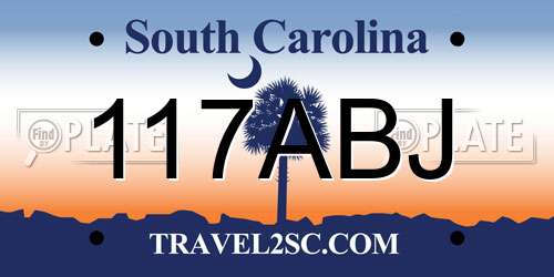117ABJ South Carolina License Plate