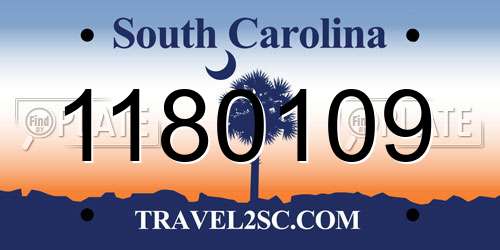 1180109 South Carolina License Plate