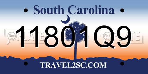 11801Q9 South Carolina License Plate