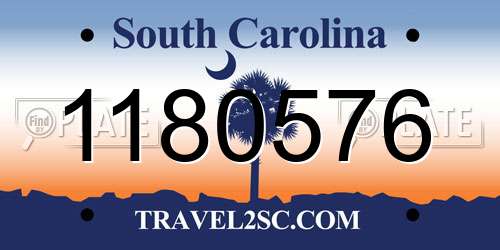 1180576 South Carolina License Plate