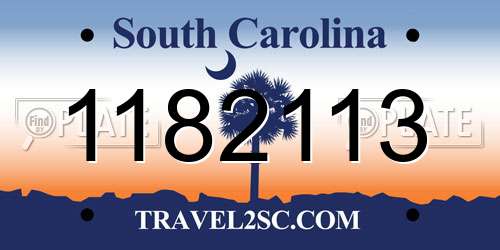 1182113 South Carolina License Plate