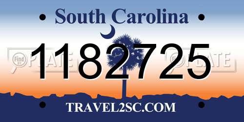 1182725 South Carolina License Plate