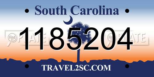 1185204 South Carolina License Plate