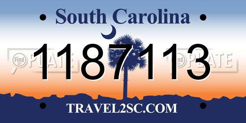 1187113 South Carolina License Plate