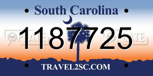 1187725 South Carolina License Plate