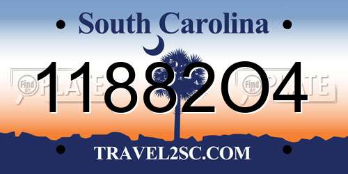 11882O4 South Carolina License Plate