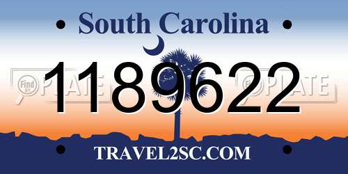 1189622 South Carolina License Plate