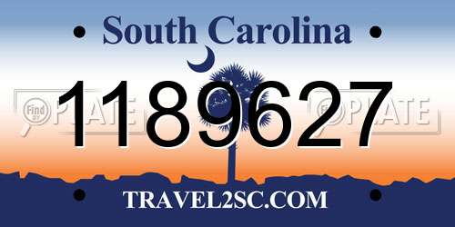 1189627 South Carolina License Plate