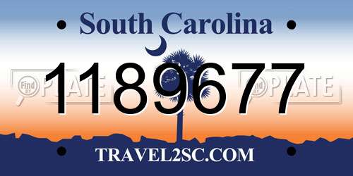 1189677 South Carolina License Plate