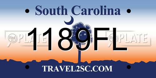 1189FL South Carolina License Plate