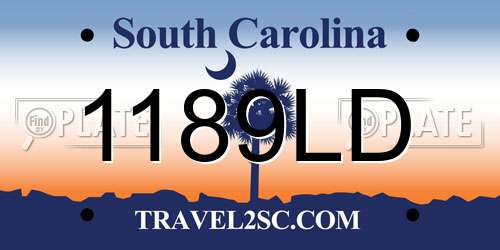 1189LD South Carolina License Plate