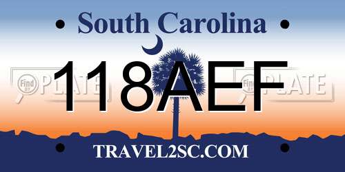 118AEF South Carolina License Plate