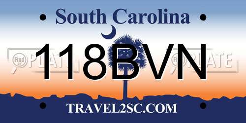 118BVN South Carolina License Plate