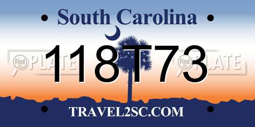 118T73 South Carolina License Plate