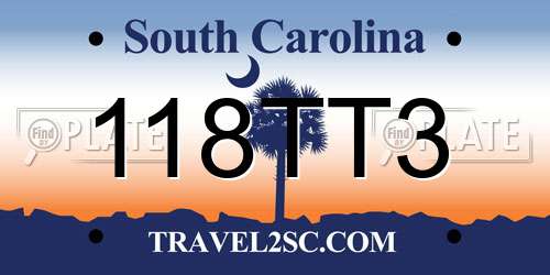 118TT3 South Carolina License Plate