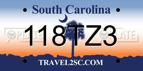 118TZ3 South Carolina License Plate