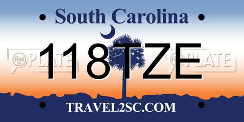 118TZE South Carolina License Plate
