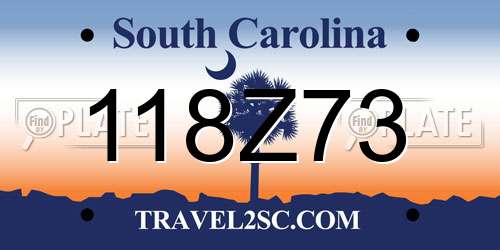 118Z73 South Carolina License Plate