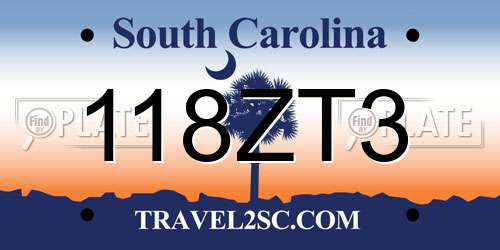 118ZT3 South Carolina License Plate
