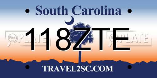 118ZTE South Carolina License Plate