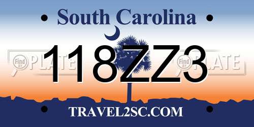 118ZZ3 South Carolina License Plate
