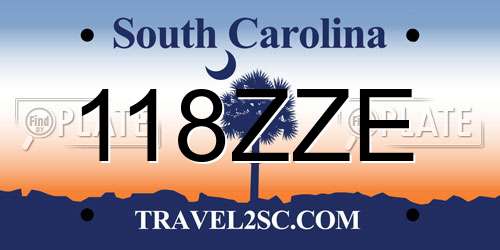 118ZZE South Carolina License Plate
