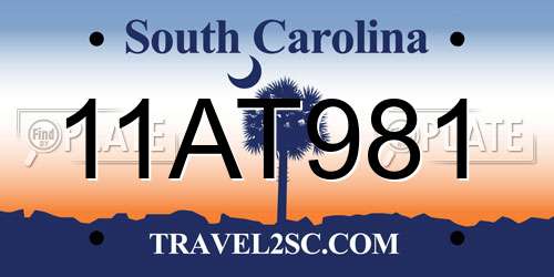 11AT981 South Carolina License Plate