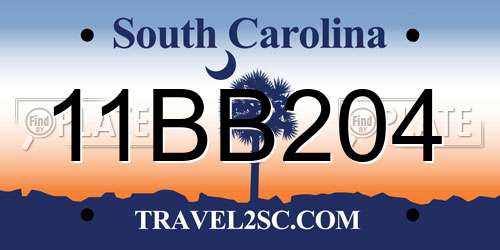 11BB204 South Carolina License Plate