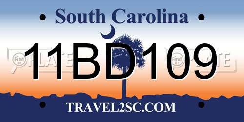 11BD109 South Carolina License Plate