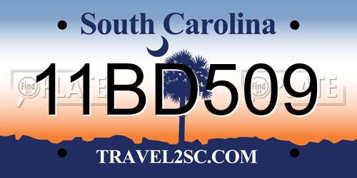 11BD509 South Carolina License Plate