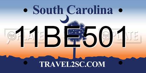 11BE501 South Carolina License Plate