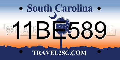 11BE589 South Carolina License Plate