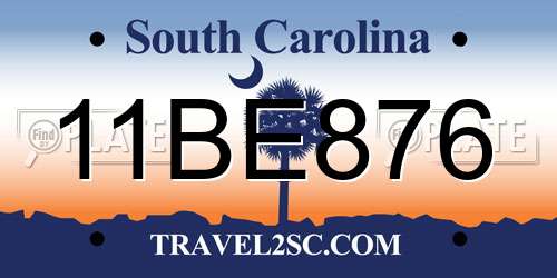 11BE876 South Carolina License Plate
