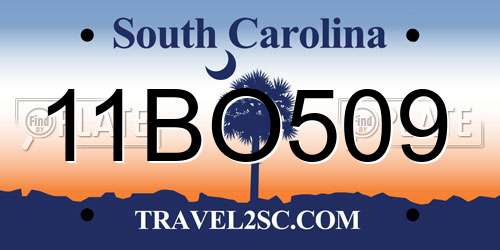 11BO509 South Carolina License Plate