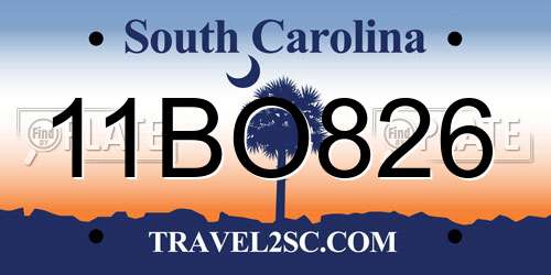 11BO826 South Carolina License Plate