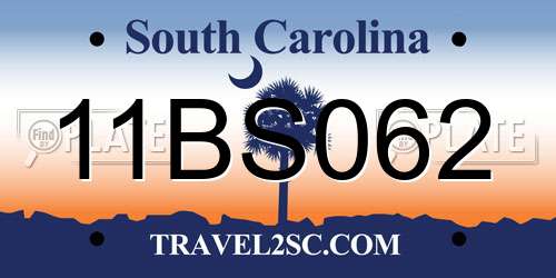 11BS062 South Carolina License Plate